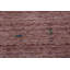 Tapis tribal en laine de style Gabbeh 8 x 11