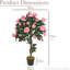 Rubens 91.4cm Tree in Pot