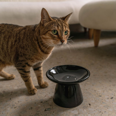 Dexypaws: bol en céramique à dessus plat pour chats - rose rosé - capacité de 7,5 oz, plat élégant pour animaux de compagnie, lavable au lave-vaisselle, résistant à l'eau et aux rayures
