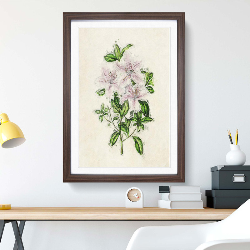 Illustration of Pink Azaleas - Picture Frame Painting Print, 48cm H x 36cm W x 2cm D, Walnut Framed