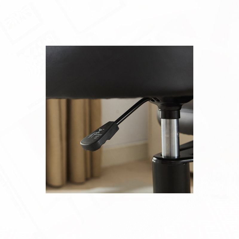 Desk Chair with Lumbar Support and Adjustable Stool,