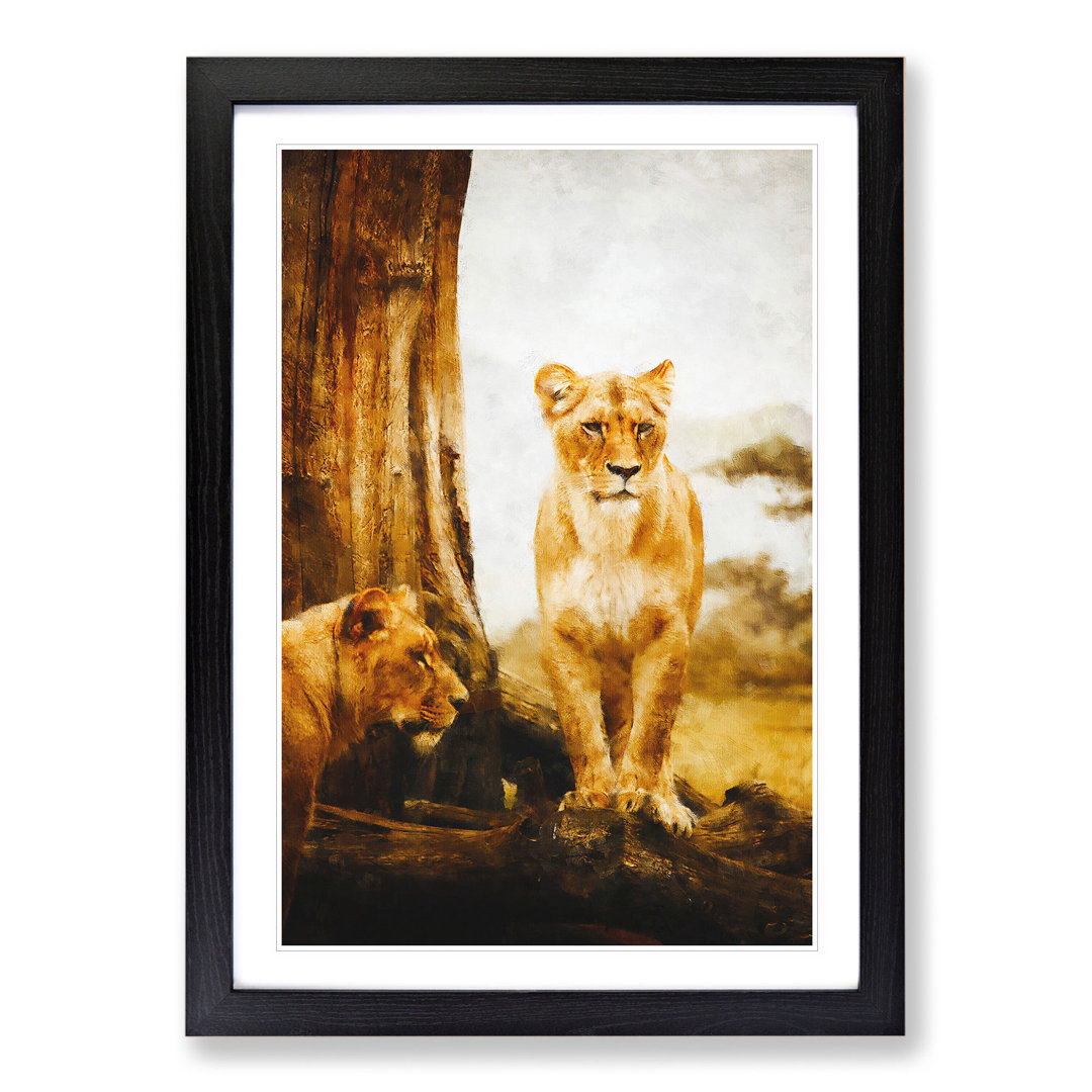 Two Lioness - Framed Print