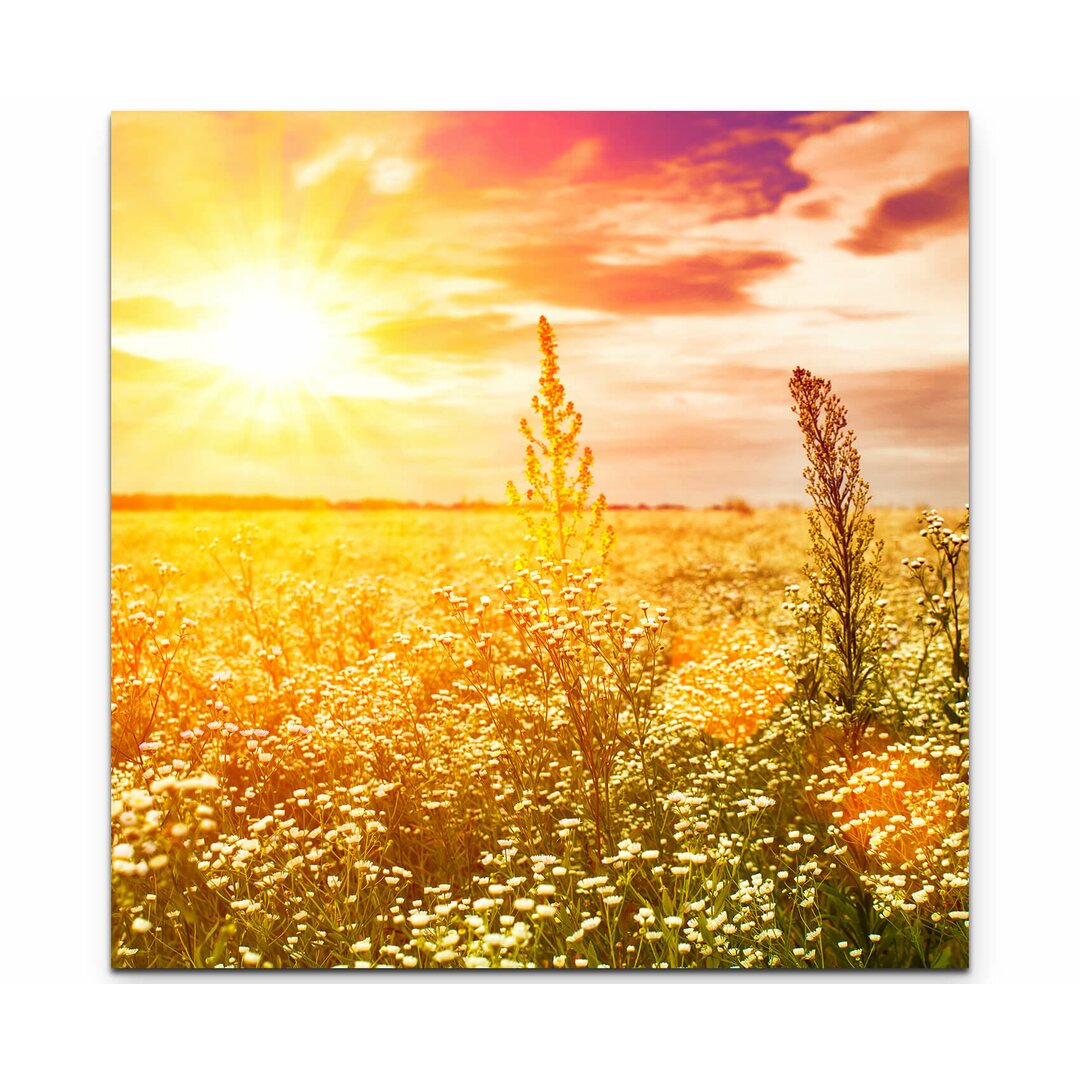 Leinwandbild Wildblumenwiese im Sonnenuntergang