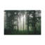 No Frame Print on Canvas-1918966461