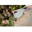 Keltner Metal Pot Planter-541192629