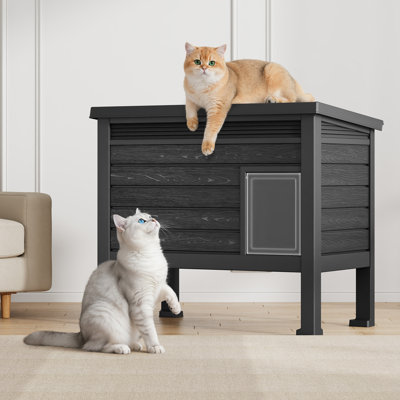 Maison de chat d'extérieur, maison de chat en plastique imperméable avec plancher surélevé