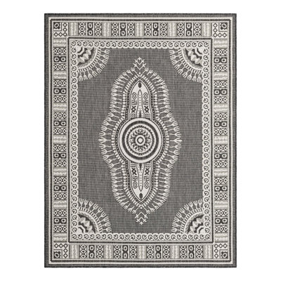 Indoor/Outdoor Traditional Area Rug