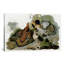 «Ruffed Grouse» par John James Audubon, impression sur toile-3867914-3867915-83558109