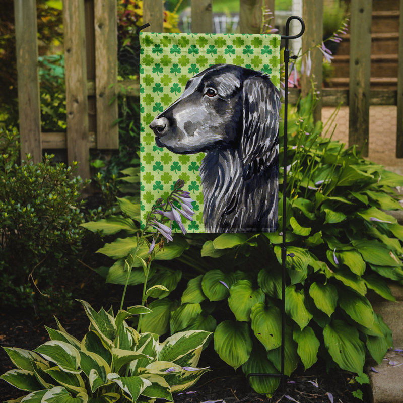 Drapeau de jardin à 2 côtés st. patrick day trèfle, Flat-coated retriever
