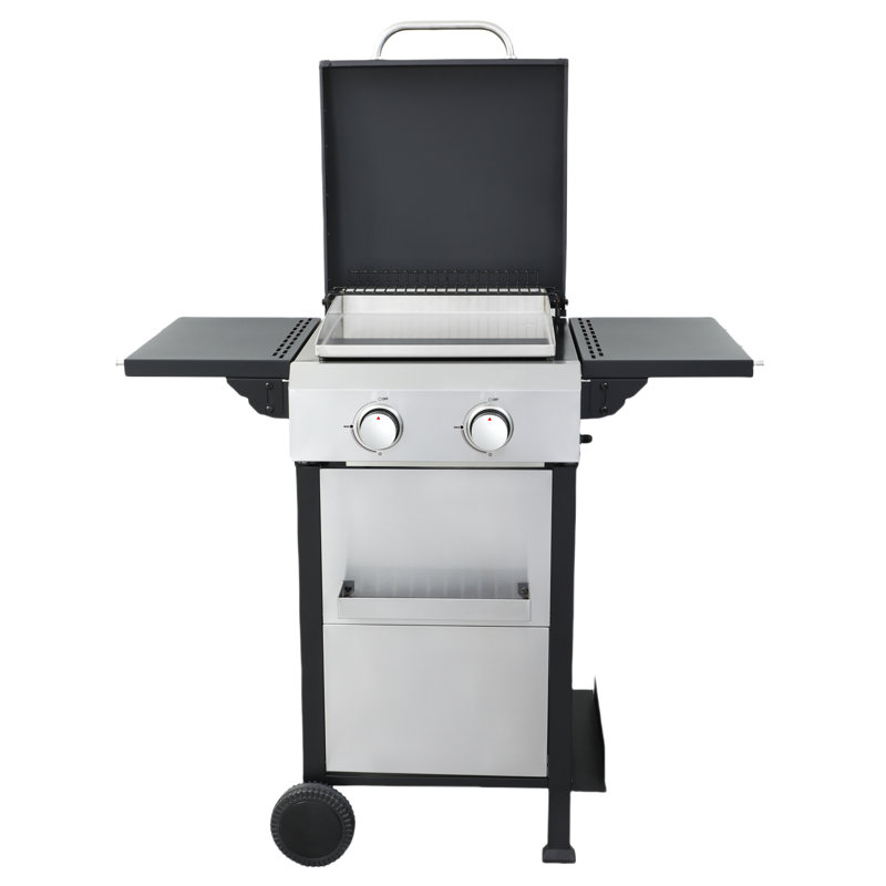 Barbecue portatif au gaz propane à 2 brûleurs avec grilles de cuisson en émail métallique, table pliable SS, table d'appoint pliable