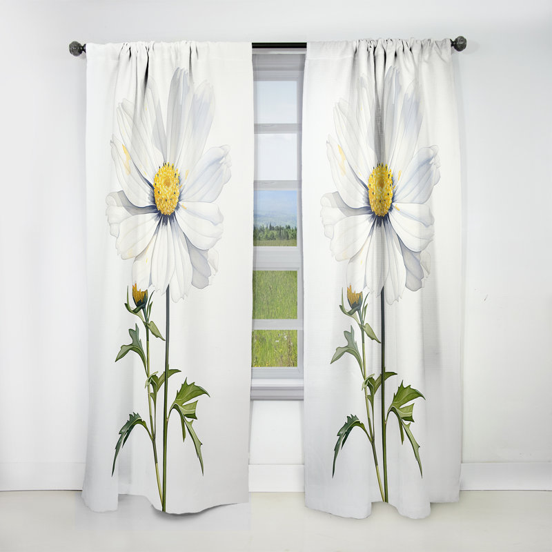 White Daisies Sublime Simplicity II - Traditional Velvet Curtain - Room Darkening - 1 Panel, 52" W x 120" L