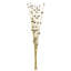 Faux Reed Plant