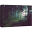 Nature, paysage, soleil, passage, vert, forêt, sur, toile, photographie-93629192-93629191