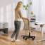 17 Stories Hayre Mesh Office Chair-617974301