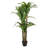 Faux 59'' Dracaena Tree