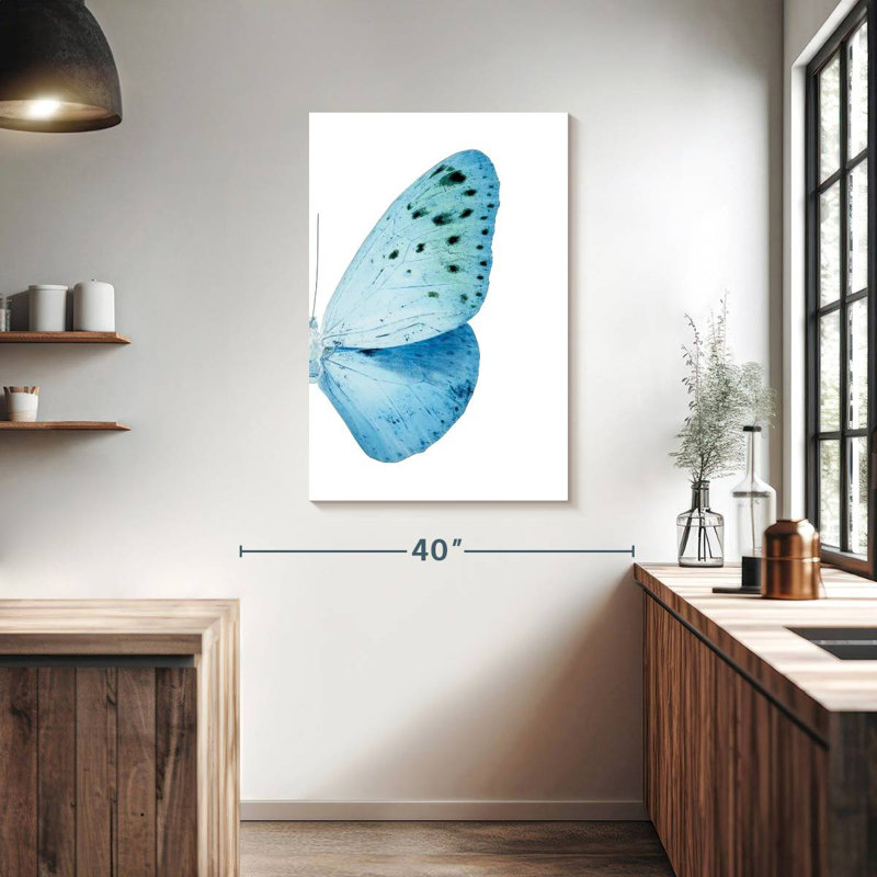 Brampt Miss Butterfly Euploea X-Ray, 39" H x 26" W