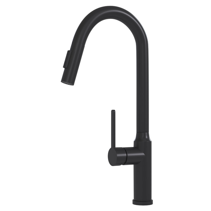 Robinet de cuisine moderne à passe-partout noir mat 18,9 po écoénergétique avec poignée Ss304