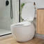 Toilette allongée une pièce à chasse double 1,1 / 1,6 GPF en blanc avec siphon-113196333