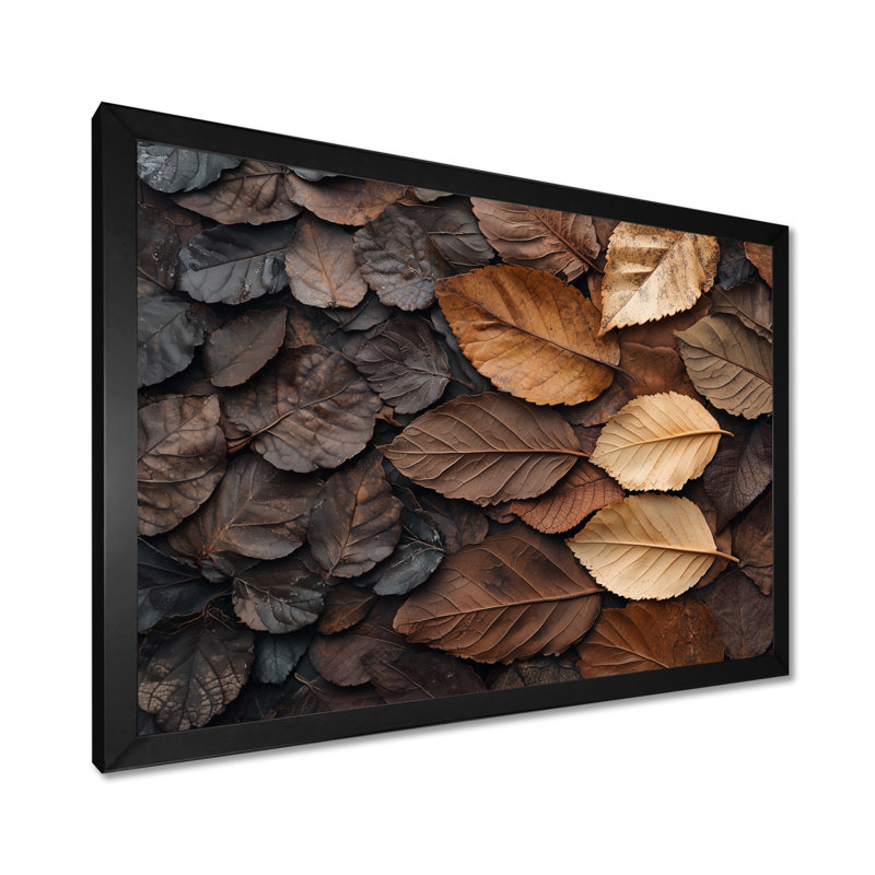 Scarboro Espresso Leaves Veins Of Nature II - feuilles, art mural, Reproduction encadrée d'une seule photo, H 30 po x l 40 po