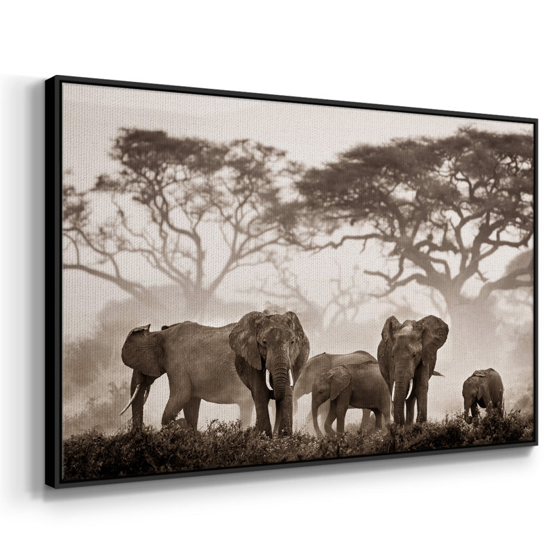 Amboseli National Park, reproduction d'art sur toile, H 25 po x l 37 po x P 2 po, Noir