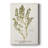 " Nature Printed Ferns X "-25879277