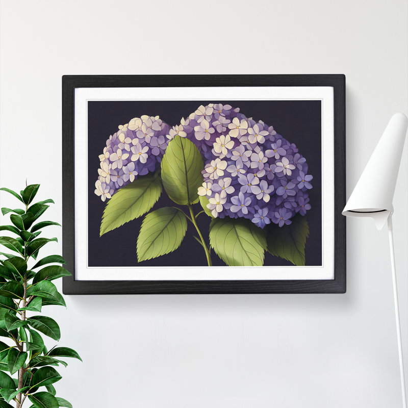 Lively Hydrangea Flowers - Single Picture Frame Print, Black, 25cm H x 34cm W