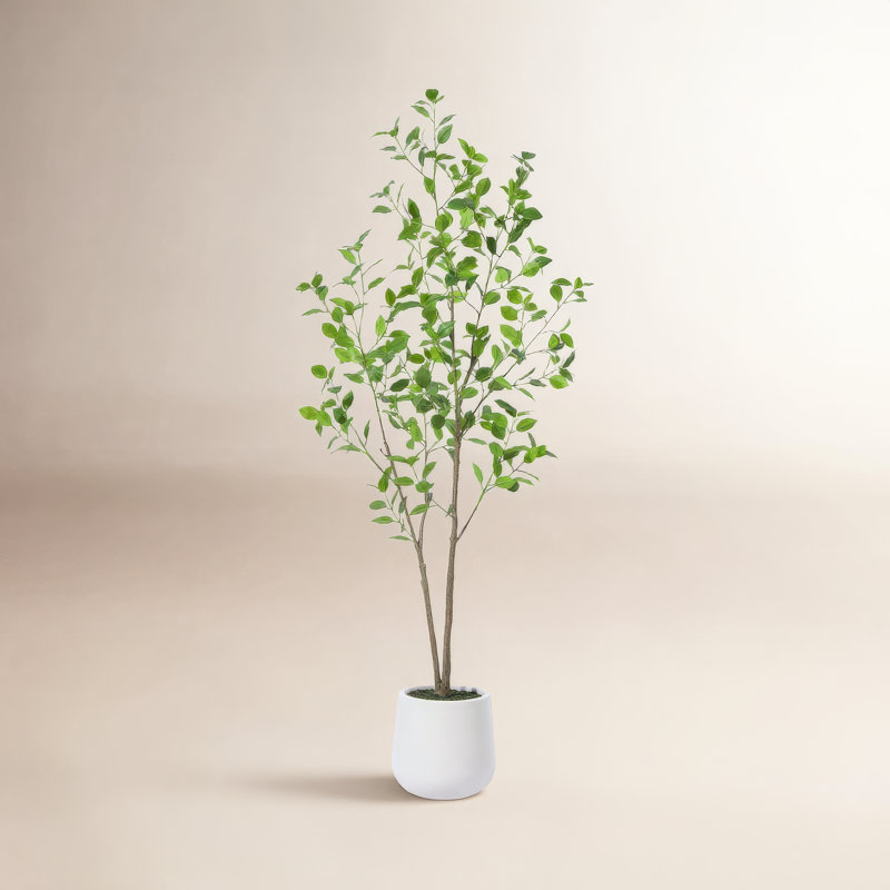 Aniston Faux arbre ficus avec pot rond blanc, plante de ficus Greenry, H 60 po x l 20 po x P 20 po