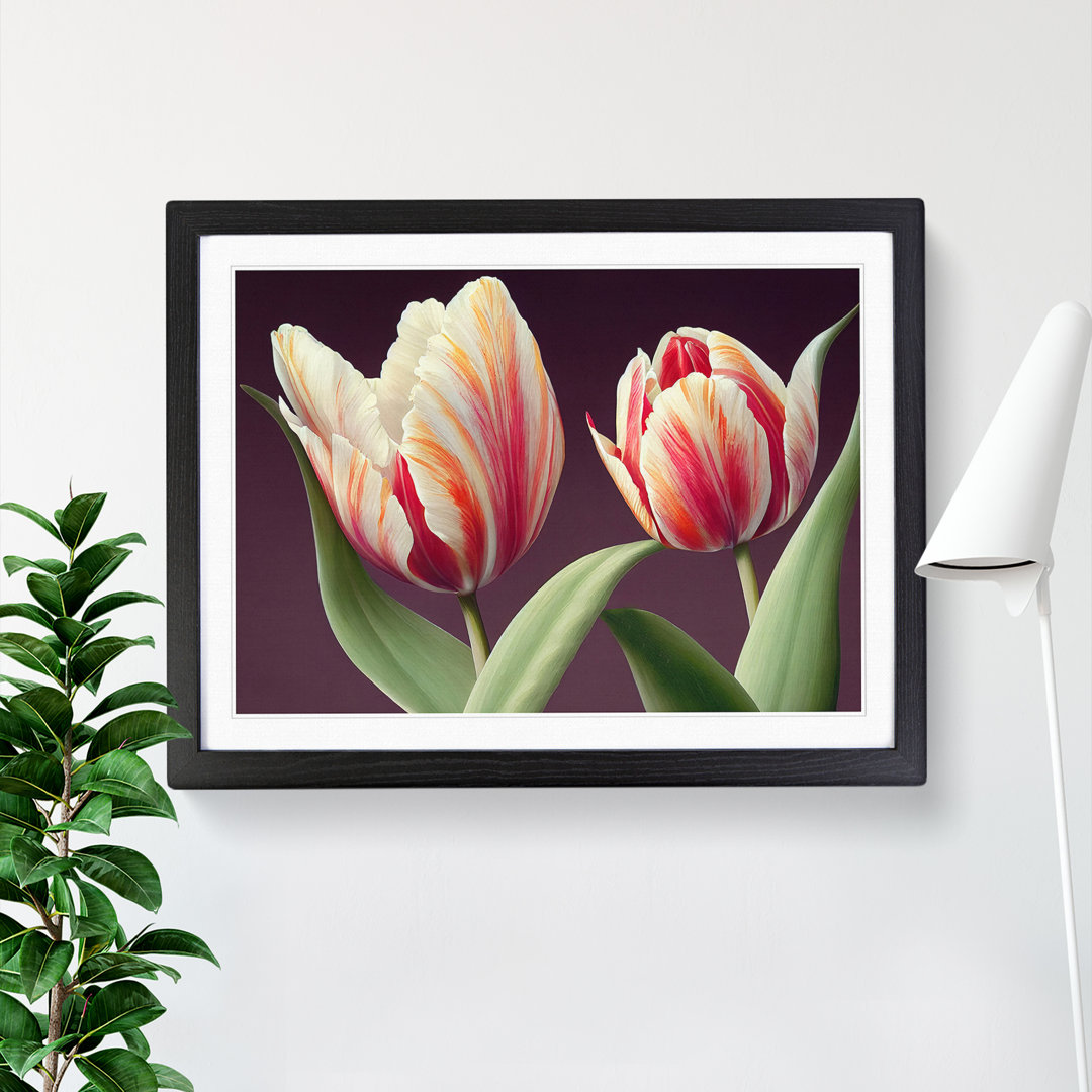 Gentle Tulip Flowers - Single Picture Frame Print