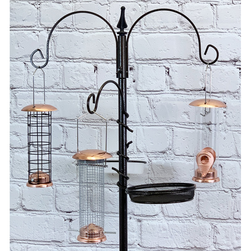 Pinero Steel Feeding Station