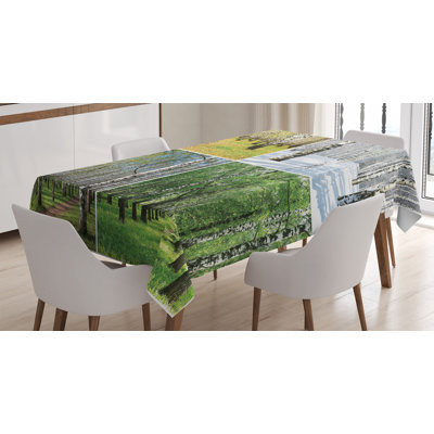 Ambesonne Landscape Tablecloth, Pathway In Woodland Birch Tree Jungle In The Fall Winter Spring Summer Season, Rectangular Table Cover For Dining Room Kitchen Decor, 60" X 84", Green White