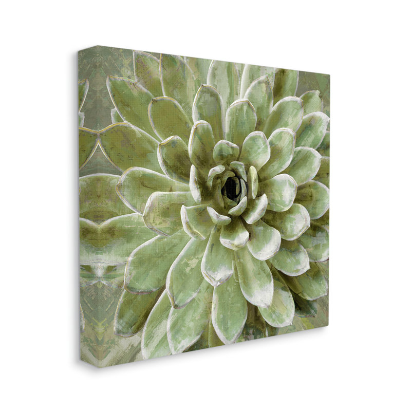 Au-738-Toile plante grasse, vue abstraite sur toile par Lindsay Benson, peinture, H 17 po x l 17 po x P 1,5 po