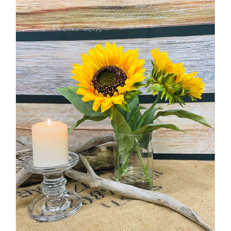 Tournesol dans l'eau 13 po