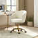 Belanda 23'' W Modern Velvet  Task Chair with Tufted Back