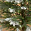 Sapin de Noël 4 pi Balsam