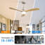 Ceiling Fan with LED Lights