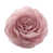 Or rose