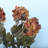 24" H Artificial  With Long Stems For Vase Filler Table Decoration-440494023