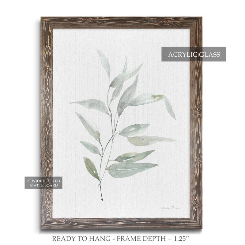 « ethereal eucalyptus ii »-impression du cadre sur verre, H 28 po x l 38 po x 1,25 po, Encadré toile espresso