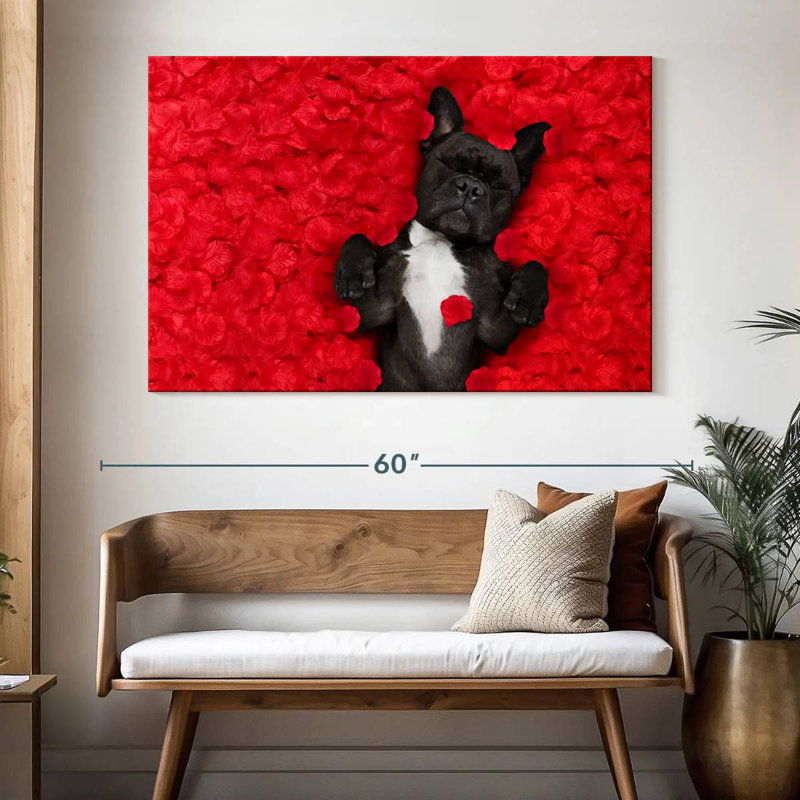 Bouledogue français Brampt Valentines, H 34 po x l 51 po