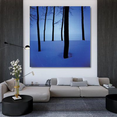 Arbres dans la neige