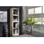 174cm H x 48cm W Solid Wood Standard Bookcase