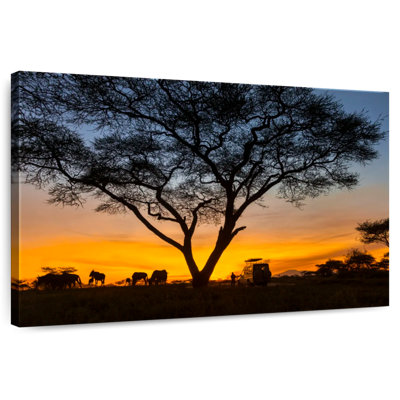 Alvord Sunset Safari