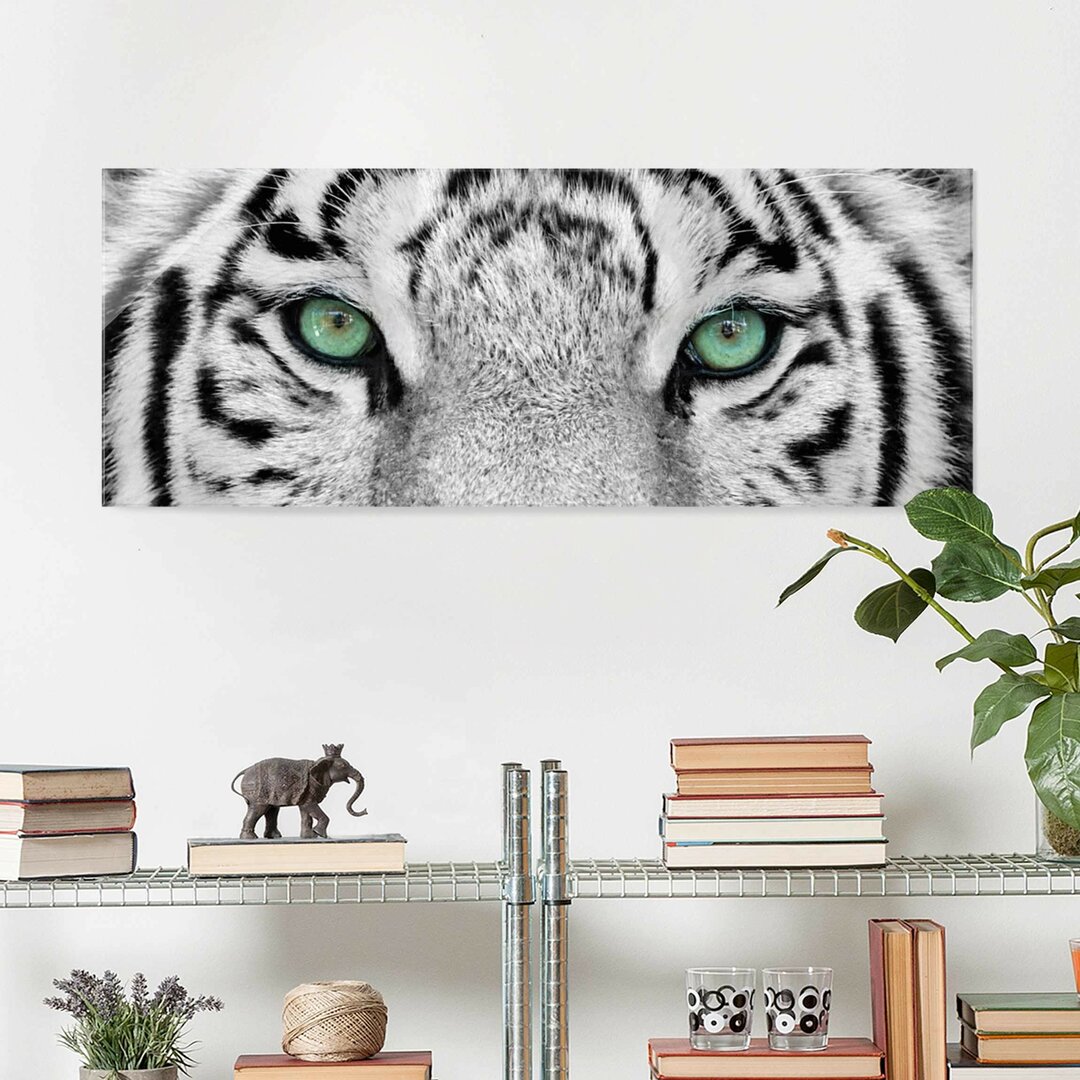 Glasbild White Tiger