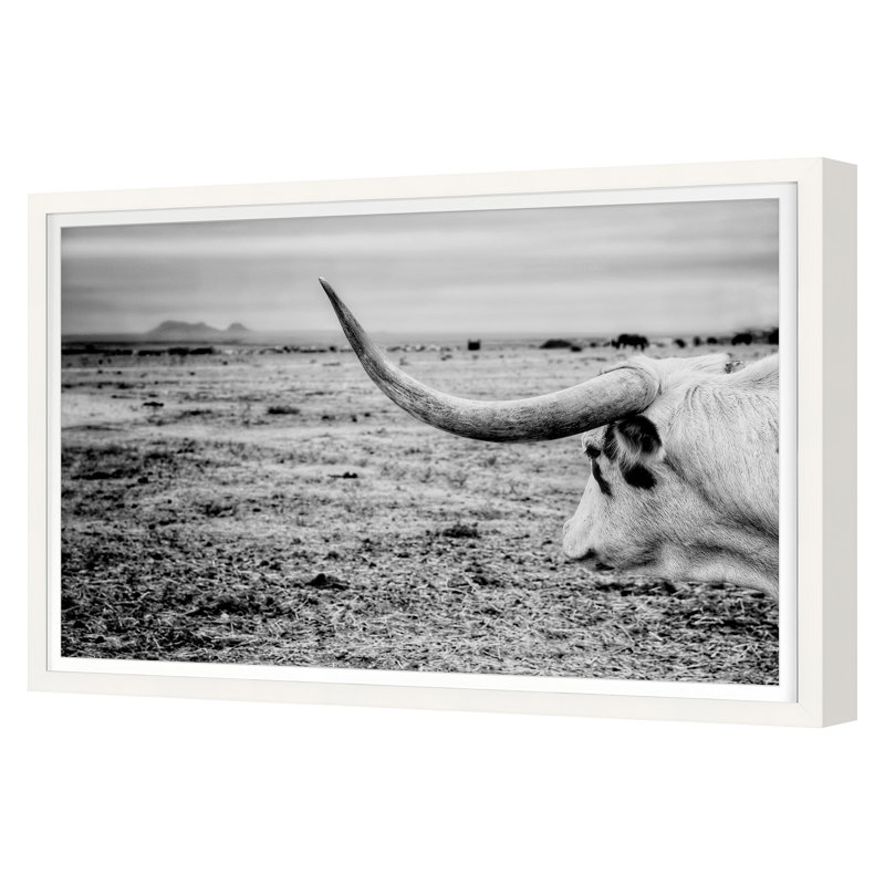 The Horn Print by Cornell, Jean, White Single Picture Framed, 30'' H x 45'' W