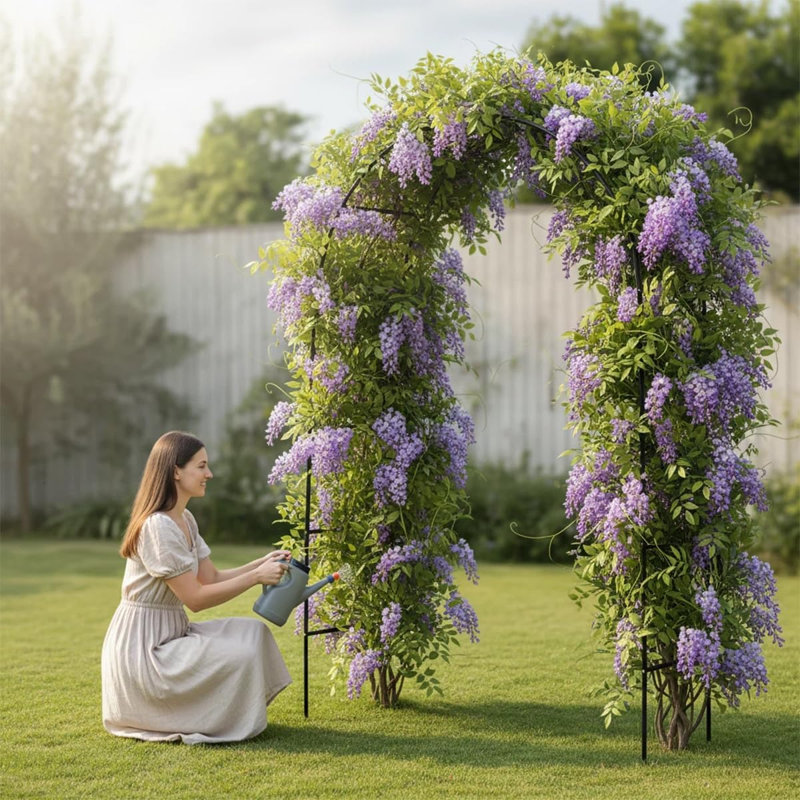 Arche de jardin polyvalente en métal - conception 2-en-1: mode haute / toile de fond de fête, décor d'anniversaire / de mariage / remise des diplômes / de Noël, supporte les vignes et les décorations légères