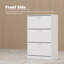 47.2'' H 18 Pair Shoe Storage Cabinet-456292178