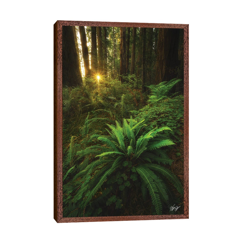 Peeking by Peter Coskun - Floater Frame Gallery-Wrapped Canvas Giclée on Canvas, 101.6 cm H x 66.04 cm W