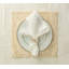 Radiant Napkin Ring-61918162