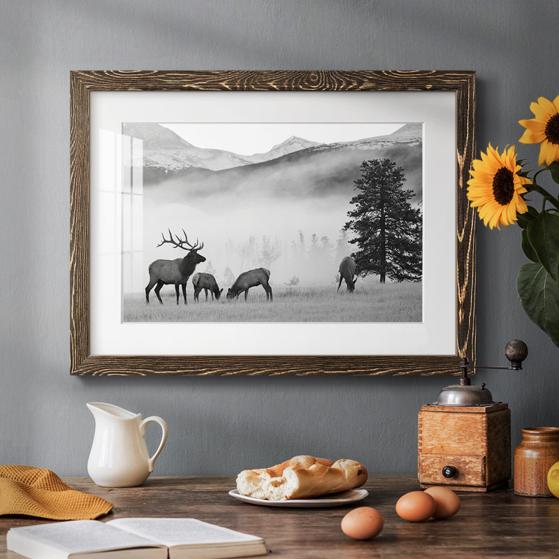 Mountain Elk - impression d'un seul cadre photo, Noyer