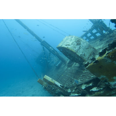 Wooden Shipwreck, Bonaire by AndrewJalbert - Wrapped Canvas Print